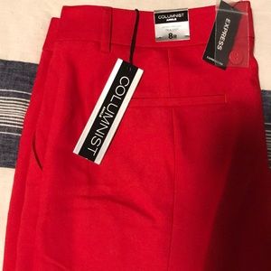 Express Columnist Dress Pant